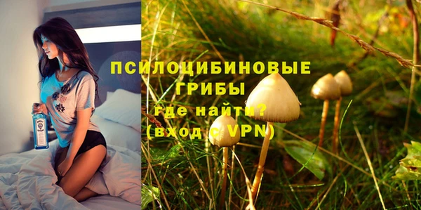 бошки Краснослободск