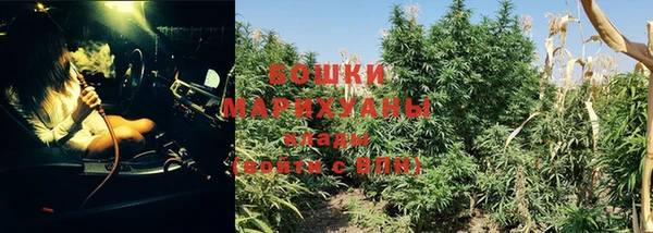мдпв Краснотурьинск