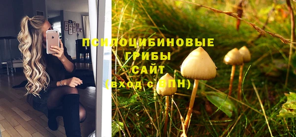 мдпв Краснотурьинск