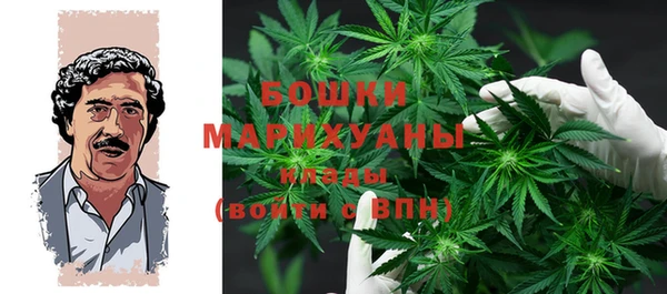бошки Краснослободск