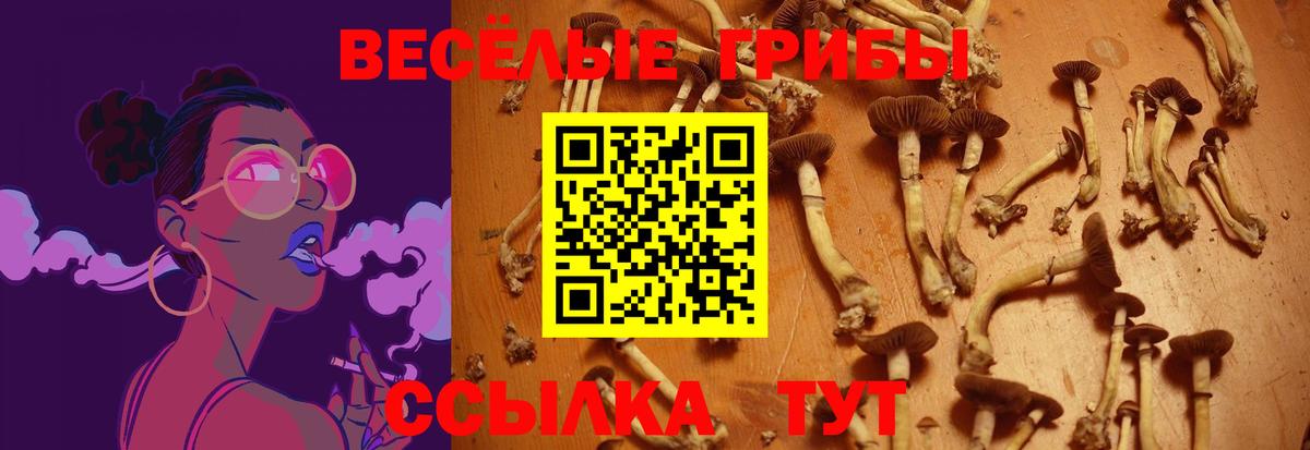 Галлюциногенные грибы ЛСД Брянск